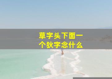 草字头下面一个狄字念什么