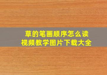 草的笔画顺序怎么读视频教学图片下载大全