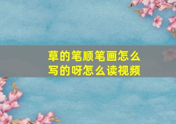 草的笔顺笔画怎么写的呀怎么读视频