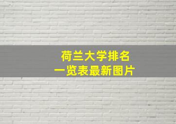 荷兰大学排名一览表最新图片