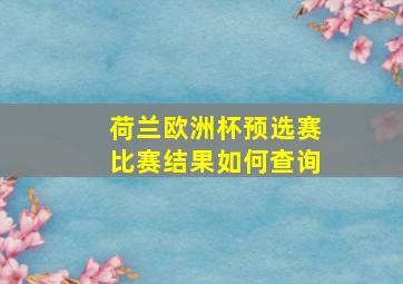 荷兰欧洲杯预选赛比赛结果如何查询