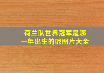 荷兰队世界冠军是哪一年出生的呢图片大全