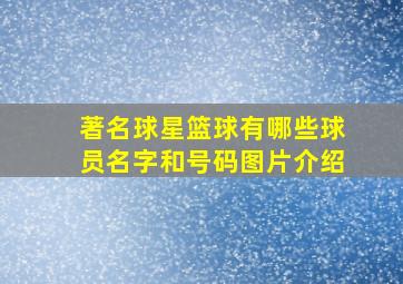 著名球星篮球有哪些球员名字和号码图片介绍