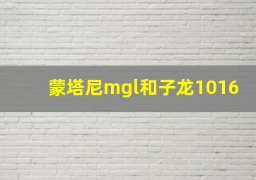 蒙塔尼mgl和子龙1016