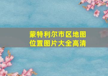 蒙特利尔市区地图位置图片大全高清