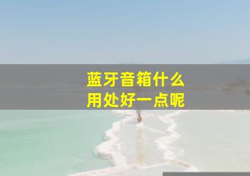 蓝牙音箱什么用处好一点呢