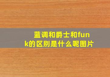 蓝调和爵士和funk的区别是什么呢图片