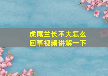 虎尾兰长不大怎么回事视频讲解一下