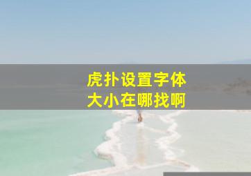 虎扑设置字体大小在哪找啊