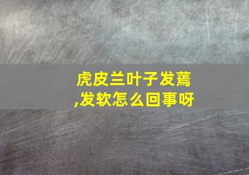 虎皮兰叶子发蔫,发软怎么回事呀