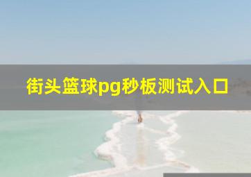 街头篮球pg秒板测试入口