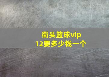 街头篮球vip12要多少钱一个