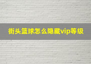 街头篮球怎么隐藏vip等级