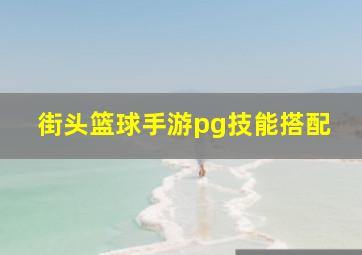 街头篮球手游pg技能搭配