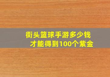 街头篮球手游多少钱才能得到100个紫金