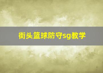 街头篮球防守sg教学