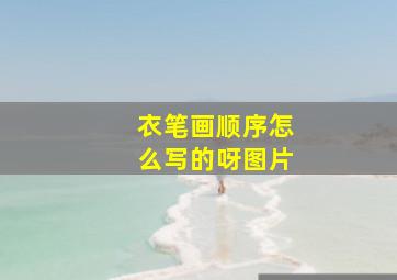 衣笔画顺序怎么写的呀图片