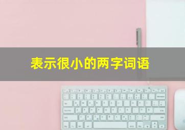 表示很小的两字词语