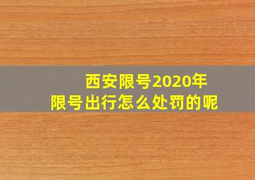 西安限号2020年限号出行怎么处罚的呢