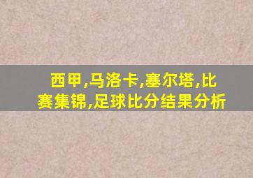 西甲,马洛卡,塞尔塔,比赛集锦,足球比分结果分析