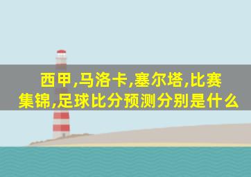 西甲,马洛卡,塞尔塔,比赛集锦,足球比分预测分别是什么