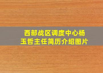 西部战区调度中心杨玉哲主任简历介绍图片