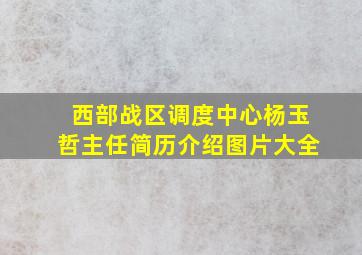 西部战区调度中心杨玉哲主任简历介绍图片大全