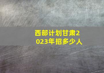 西部计划甘肃2023年招多少人