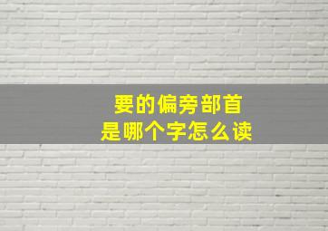 要的偏旁部首是哪个字怎么读