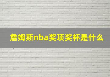 詹姆斯nba奖项奖杯是什么