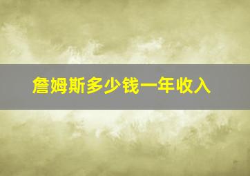 詹姆斯多少钱一年收入