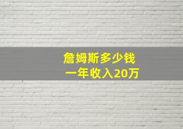 詹姆斯多少钱一年收入20万