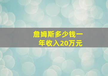 詹姆斯多少钱一年收入20万元