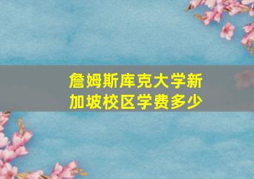 詹姆斯库克大学新加坡校区学费多少