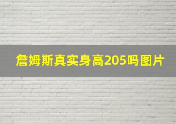 詹姆斯真实身高205吗图片