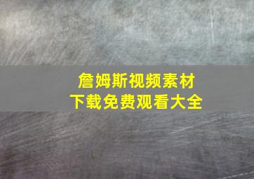 詹姆斯视频素材下载免费观看大全