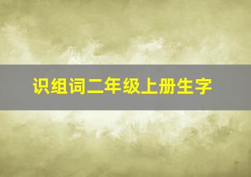 识组词二年级上册生字