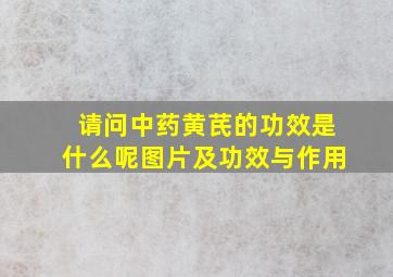 请问中药黄芪的功效是什么呢图片及功效与作用