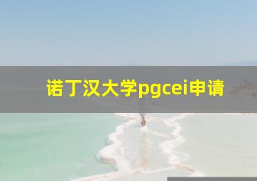 诺丁汉大学pgcei申请