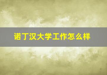 诺丁汉大学工作怎么样