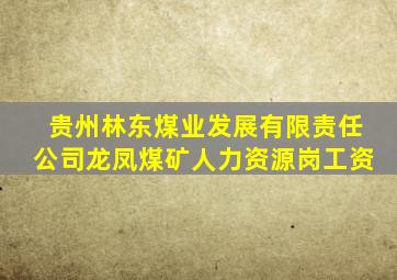 贵州林东煤业发展有限责任公司龙凤煤矿人力资源岗工资