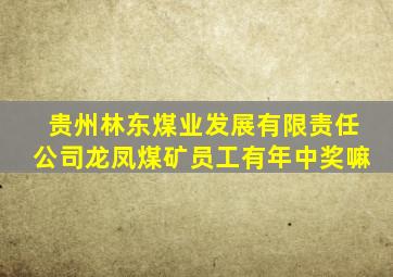 贵州林东煤业发展有限责任公司龙凤煤矿员工有年中奖嘛