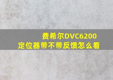 费希尔DVC6200定位器带不带反馈怎么看