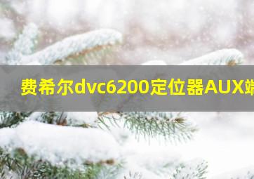 费希尔dvc6200定位器AUX端子