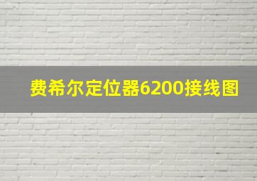 费希尔定位器6200接线图