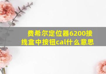 费希尔定位器6200接线盒中按钮cal什么意思