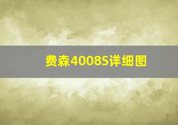 费森4008S详细图