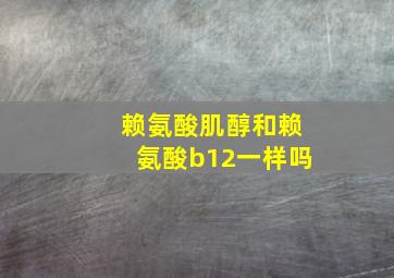 赖氨酸肌醇和赖氨酸b12一样吗