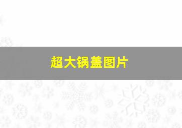 超大锅盖图片