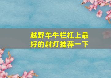 越野车牛栏杠上最好的射灯推荐一下